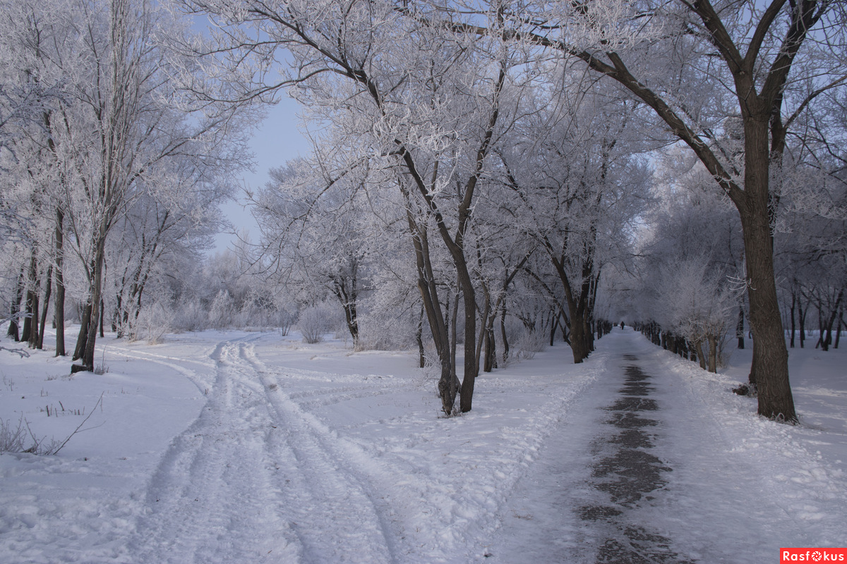 Морозный день – на ветках иней. Деревья будто в серебре. И купол неба синий-синий! Зима прекрасна в январе.