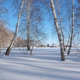 Хорошо зимой в деревне!