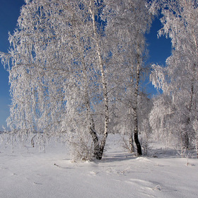 Прекрасная сибирская зима...